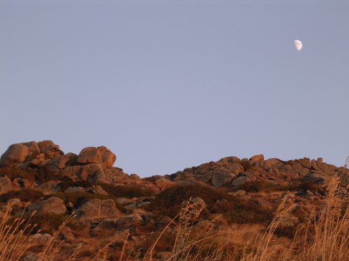 Naxos